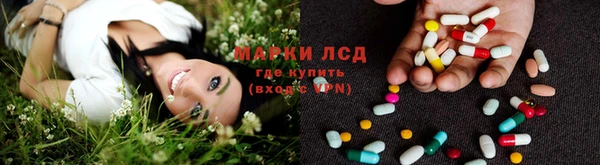 ECSTASY Белокуриха